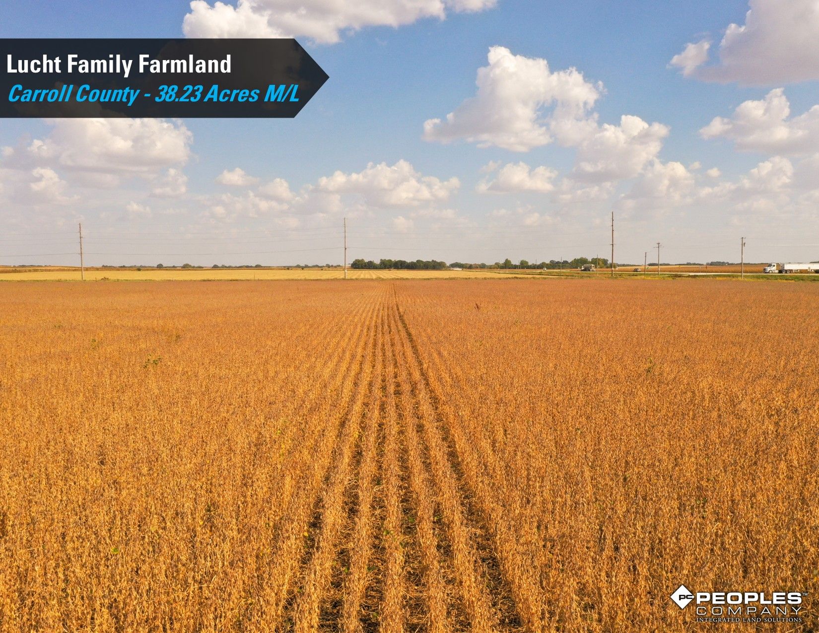 Listing Photo: Lucht-Family-Farmland-Auction-Online-Carroll-County-Iowa-38.23Acres (21)